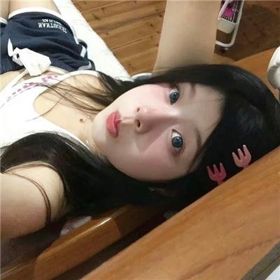 不死鸟之恋